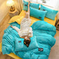 Four-piece Flannel Thickening Plus Velvet Winter Plush Duvet Cover Crystal Velvet Sheet Duvet Cover Bedding