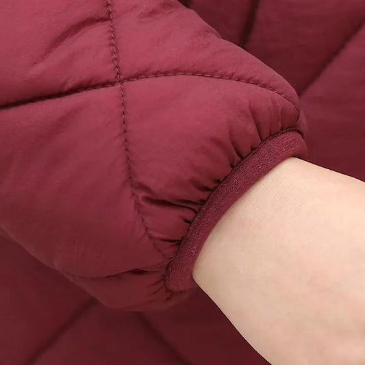 Plush Thickened Women's Winter Coats Hooded Warm Cotton Padded Coats Female Oversized Short Cotton Padded Jacket