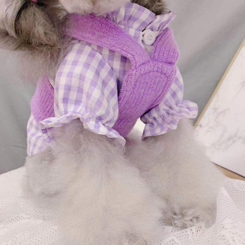 Dog Clothes Spring Autumn Winter Clothes Cat Puppy Cute Shirt Vest Sweater Two-Piece Set Teddy Small Dog Pet Clothes Cute Lovely Outdoor Outfit