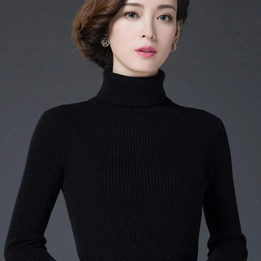 Women Turtleneck Sweater Autumn Winter Slim Plus Size Black Lady Pullover Sweaters Slim Knitted Jumper