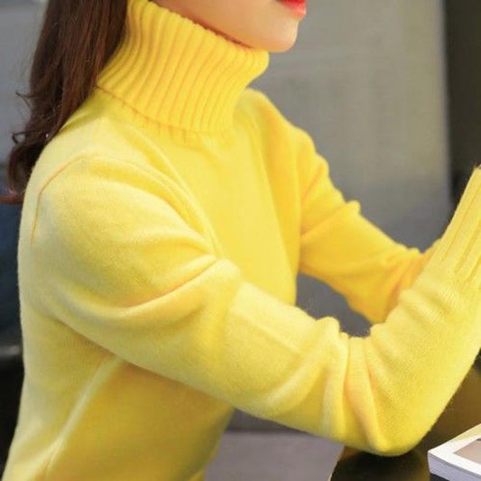 Thicken Sweater Autumn and Winter Turtleneck Sweater Female Long Sleeve Fashion Wild Warm