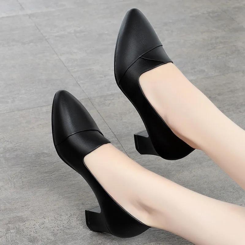 Soft Shoes Spring and Autumn High Heels Single Shoes Women's Work Shoes Red Bottom Shoes Black Leather Shoes