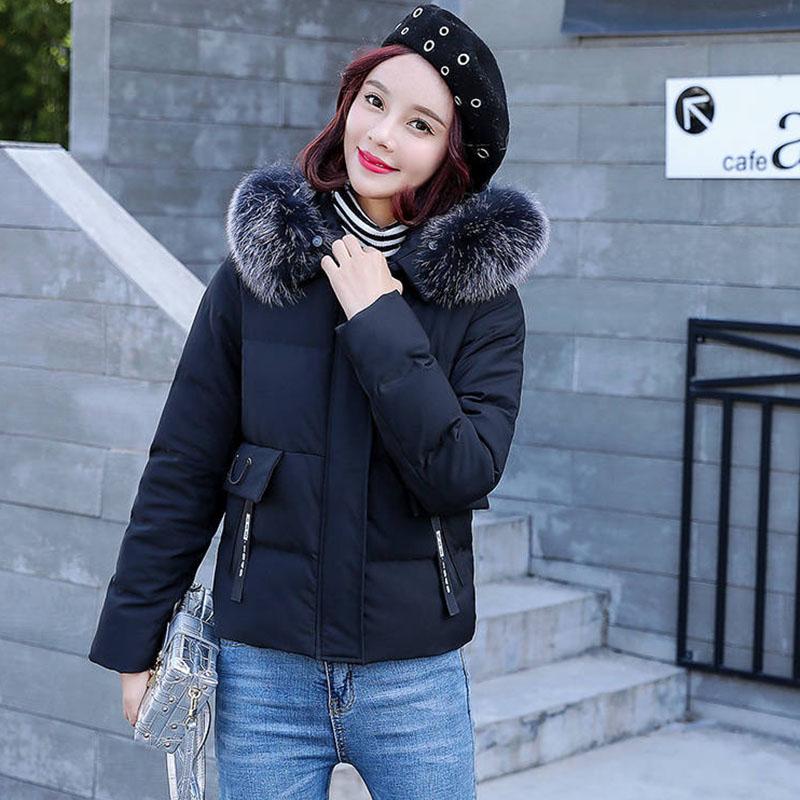 Cotton-padded Jacket Women's Winter Short Student Korean Version of Loose Padded Jacket Down Padded Jacket Female Tide Ins