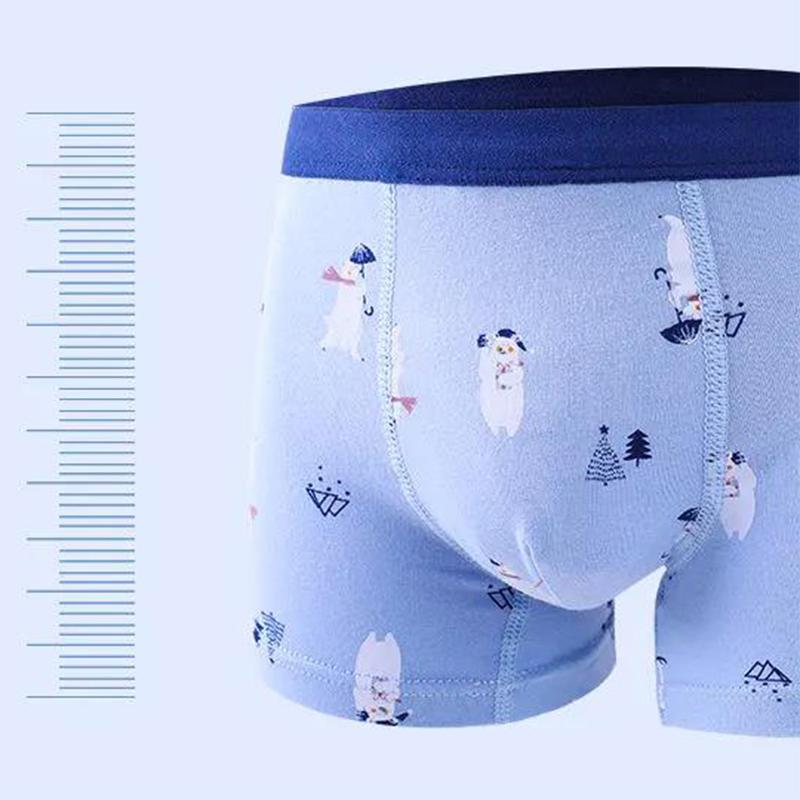 Cotton Panties Boys Brief Underwear Shool Kids Underpanties for 3 4 6 8 10 12 14 Years Old Child Clothes