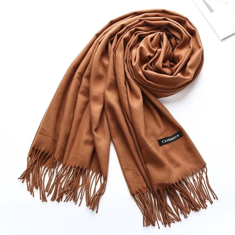 Women's Winter Scarf Korean Style Pure Color Imitation Cashmere Thick All Match Shawl Warm Long Bib Casual Outdoor Solid Tassel Wrap Shawl Neck Scarf