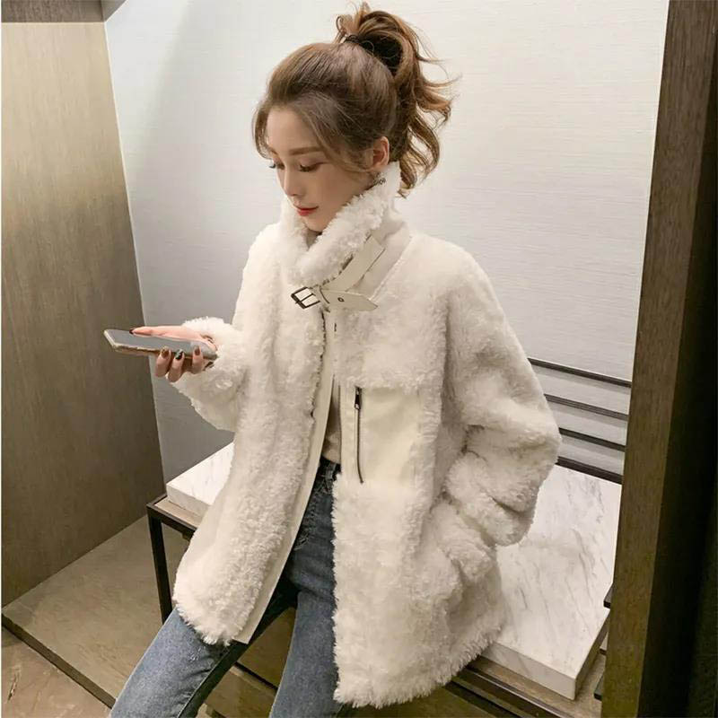 Fur One-piece Stand-up Collar Imitation Lamb Fur Jacket Women Autumn and Winter Jacket All-match Blouse