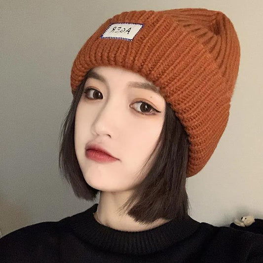 Winter Woolen Hat Korean Fashion Wild Ultra-thick Knitted Hat Plus Velvet Soft Patch Hat for Women