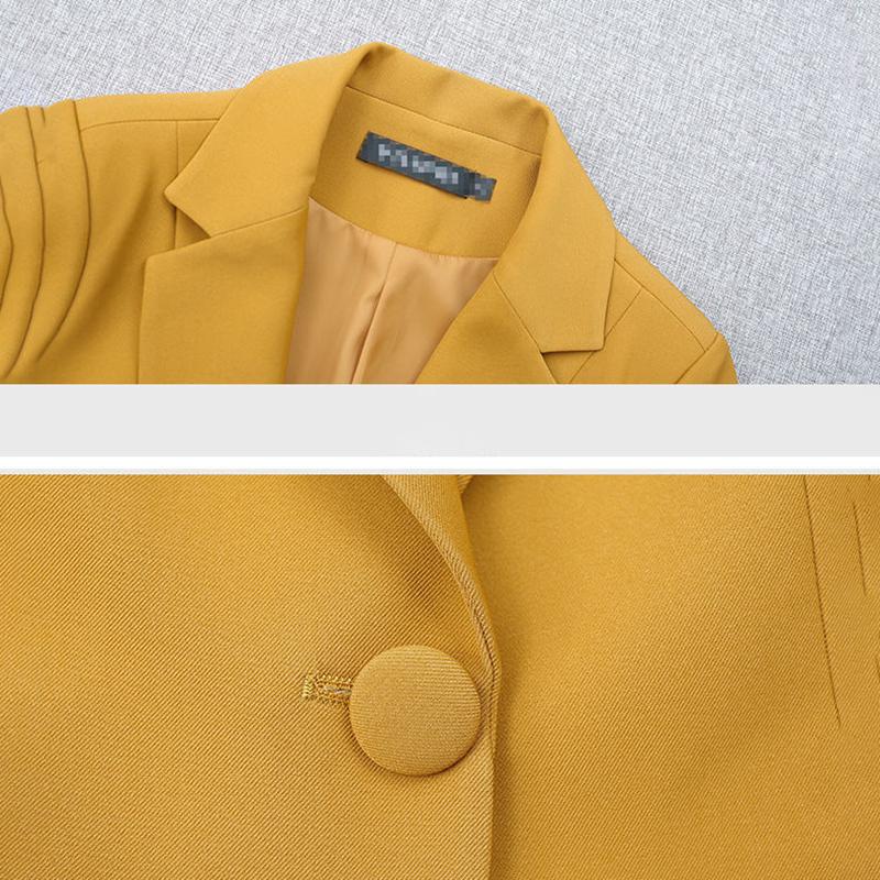 Short Paragraph Suit Jacket Female Spring and Autumn Thin Section Temperament Elegant Ladies Suit Jacket Slim Suit Jacket Women's Casual Jackets