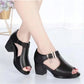 Fish Mouth Sandals Women's Buckle Velcro Outer Wear Thick Heels Middle-heeled Thick Shoes Middle-aged Mother Shoes