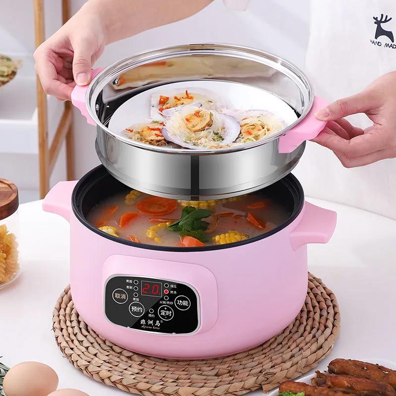 220V Mini Multifunction Electric Cooking Machine Household Single/Double Layer Pot Multi Electric Rice Cooker Non-stick Pan