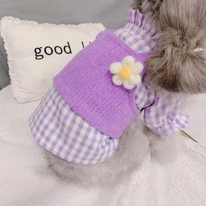 Dog Clothes Spring Autumn Winter Clothes Cat Puppy Cute Shirt Vest Sweater Two-Piece Set Teddy Small Dog Pet Clothes Cute Lovely Outdoor Outfit