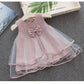 Cute Girls Dress New Summer Girls Dresses Fancy Flower Princess Dress Toddler Tutu Baby Girls Tulle Dress Casual Wear