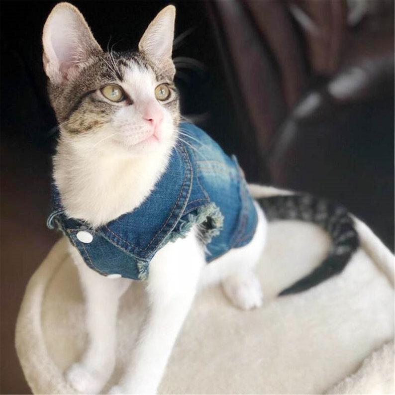 Denim Cat Clothes for Cats Fashion Cat Coat Jacket Warm Outfits Lovely Pet Cat Clothing Casual Jeans Outfits for Dogs Costume