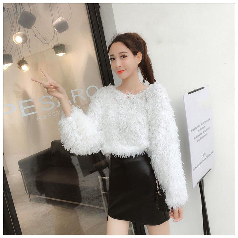 Mink Autumn Fashion Sweater Korean Loose Slim Pullover Short Casual Young Women's Jacket