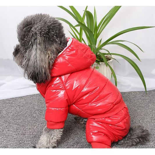 Pet's Clothes Autumn and Winter Warm Jackets Coat for Dog Cats Clothes Plus Velvet Four-legged Teddy Cat Windproof Clothes Waterproof Coat Outerwear