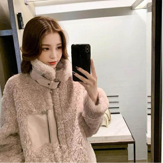 Fur One-piece Stand-up Collar Imitation Lamb Fur Jacket Women Autumn and Winter Jacket All-match Blouse