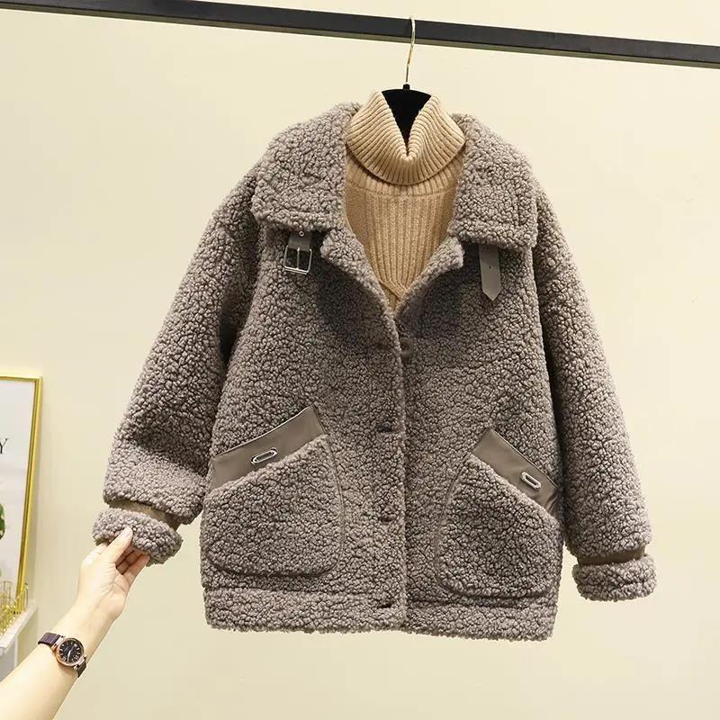 Lamb Plush Fur Coat Women's Autumn and Winter Korean Short Grained Small Coat