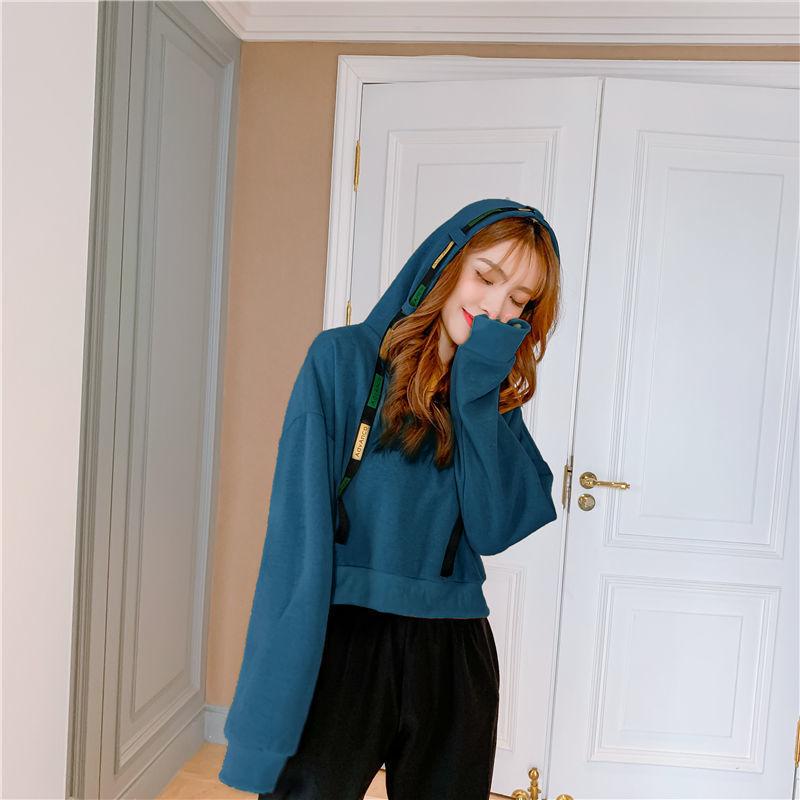 Sports Suits Small Women's Short Round Neck Pullover Sweater Suits Women's Foreign Style Thin Harem Pants Casual Temperament