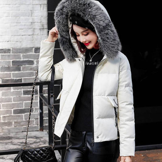 Cotton-padded Jacket Women's Winter Short Student Korean Version of Loose Padded Jacket Down Padded Jacket Female Tide Ins