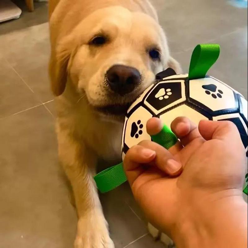 Dog Football Pet Bite with Toy Ball Puppies Play Resistance To Relieve Boredom Training Dog Artifact Dog Supplies Outdoor Play Fun Ball for Large Dogs