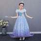 Girls Frozen Dress Aisha Princess Dress Summer Dress Children's Super Western Puffy Tulle Dress