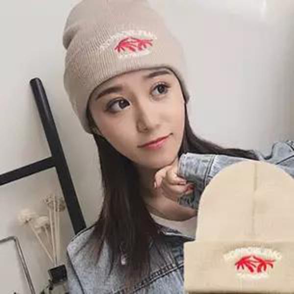 Fashion Woman hat Plush Cotton hat Trendy wild hat Windproof hat Winter Warm hat Thick hat