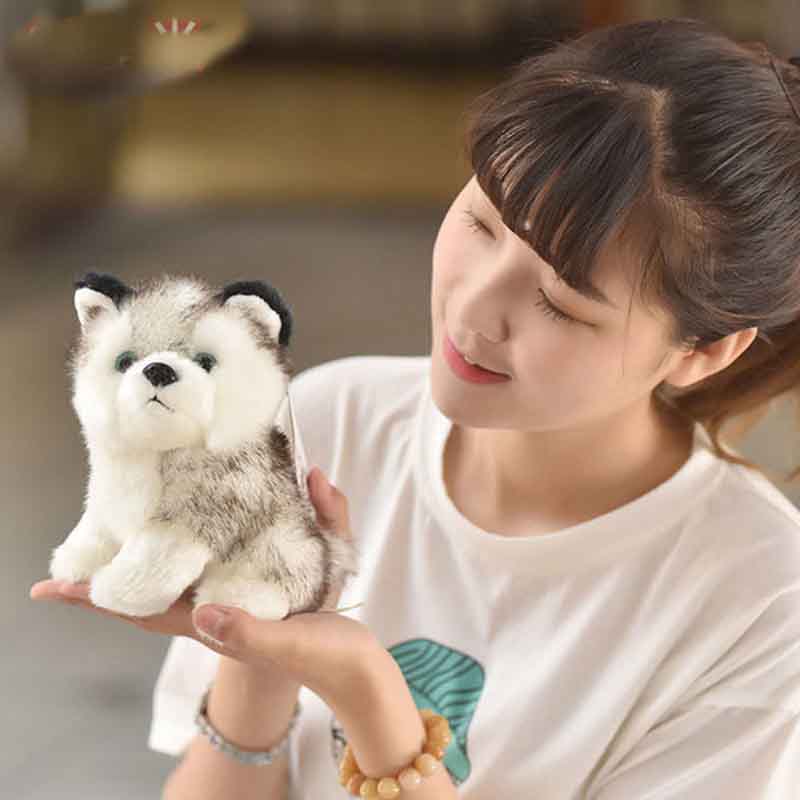 Simulation Husky Doll Plush Toy Dog Poodle Dog Erha Doll Puppies Rag Doll Gifts for Girls