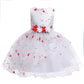 Lovely Print Flower Little Baby First Communion Dress Birthday Party Dress For Girls