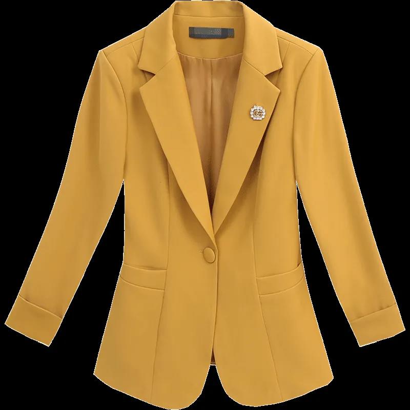 Short Paragraph Suit Jacket Female Spring and Autumn Thin Section Temperament Elegant Ladies Suit Jacket Slim Suit Jacket Women's Casual Jackets