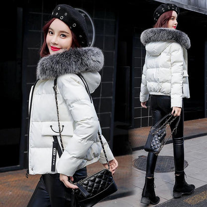 Cotton-padded Jacket Women's Winter Short Student Korean Version of Loose Padded Jacket Down Padded Jacket Female Tide Ins