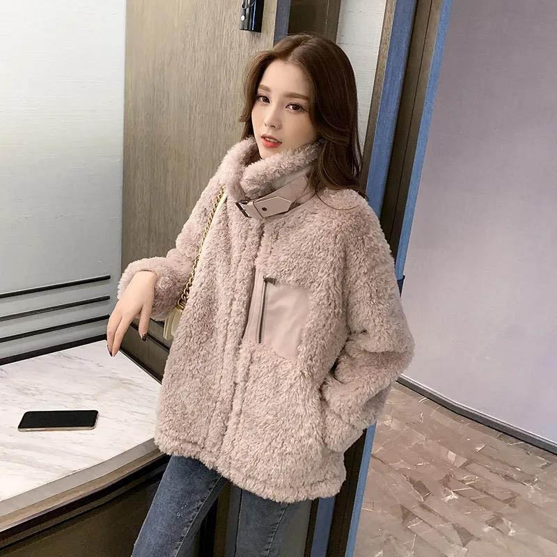 Fur One-piece Stand-up Collar Imitation Lamb Fur Jacket Women Autumn and Winter Jacket All-match Blouse