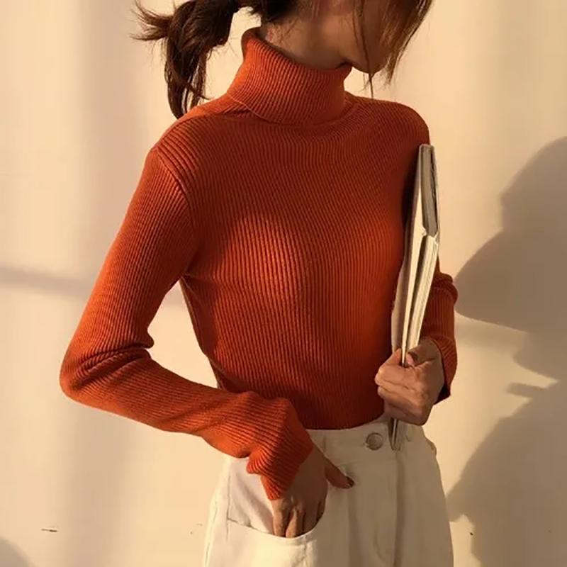 Winter Turtleneck Sweater Women Thick Warm Solid Long Sleeve High Neck Sweaters Slim Knitted Jumper Fashion Fall Pullovers Women Casual Top Clothes