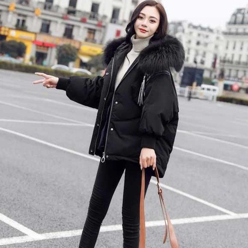 Cotton Jacket Women's Short Section Winter Korean Parker Student Padded Jacket Thick Cotton Casual Simple Coat