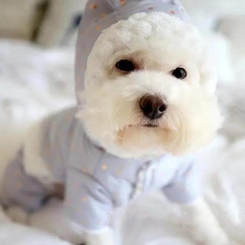 Pet Dog Cat Clothes Winter Warm Clothing Four Legs Cotton Hooded Coat Dot Button Thick Hoodies Jackets Casual Waterproof Outwear