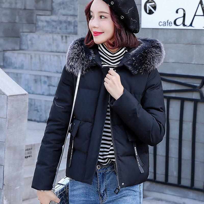 Cotton-padded Jacket Women's Winter Short Student Korean Version of Loose Padded Jacket Down Padded Jacket Female Tide Ins