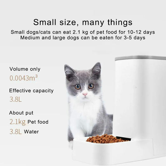 Cat Drinking FountainCat BowlDog Drinking FountainAutomatic FeederDog BowlCat Food BowlPet Pet Drinking Fountain Supplies