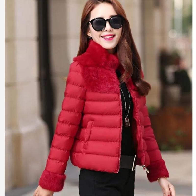 Women's Rabbit Fur Down Padded Jacket Short Cotton Down Jacket Winter All-match Warm Jacket Small Padded Jacket Women