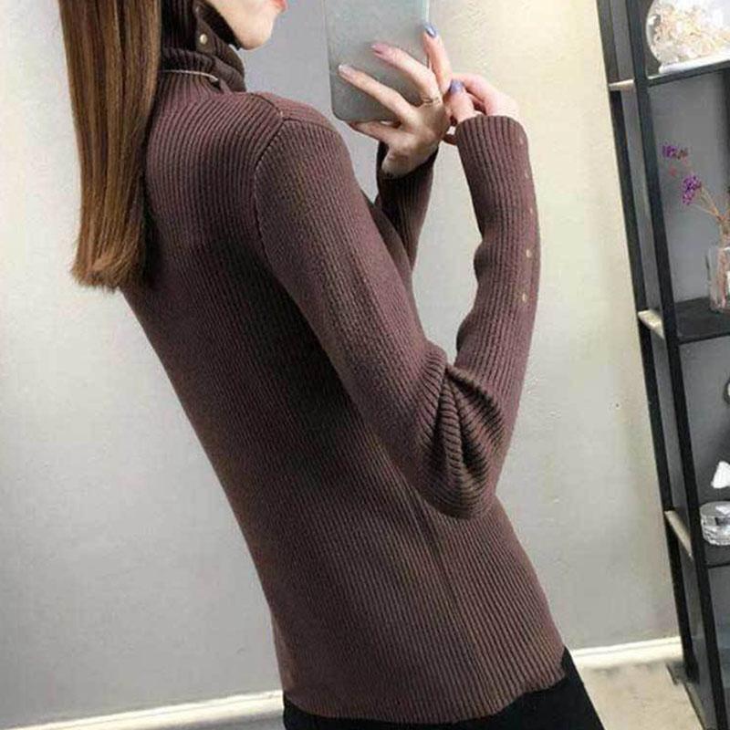 Autumn and Winter Knitted Long-sleeved Sweater Women's High-necked Wild Thickening Bottoming Shirt Pure Color Simple Female Top