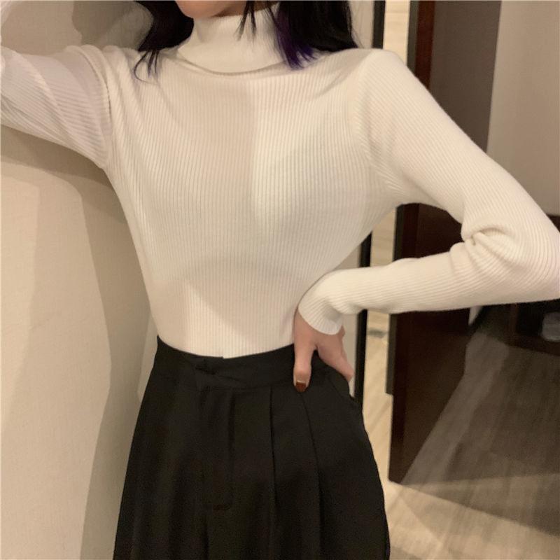 Turtleneck Sweaters Women Autumn Winter High Neck Pullover Sweaters Knitted Jumpers Solid Casual Slim Long Sleeve Basic Tops