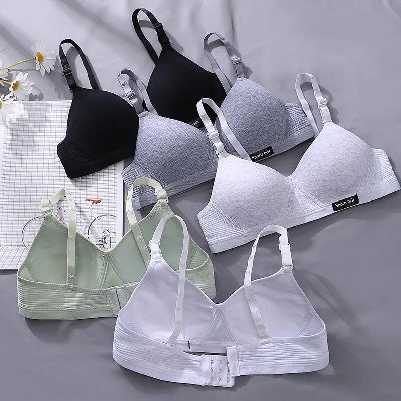 Korean Version of Pure Cotton Skin-friendly Breathable Sweat-absorbing Thread Thin No Steel Ring Small Chest Gathered Women's Underwear Bra