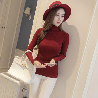 High Collar Sweater Winter Knitting Sweaters Large Size Sweater Skirt Woman Medium and Long Section