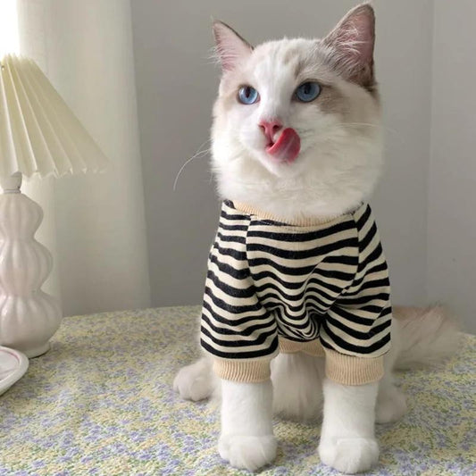 Pet Cat Autumn Clothes Striped Two-legged Sweater British Short Puppet Cat Two-legged Sweater Classic Comfortable Knitwear Cat's Outerwear