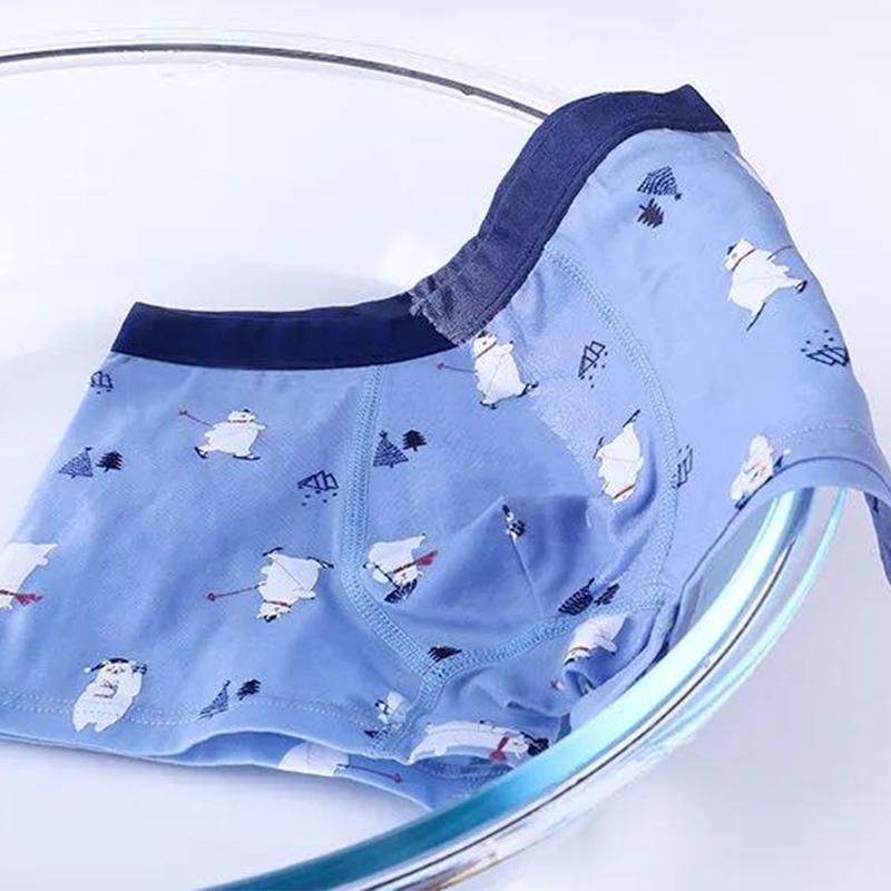 Cotton Panties Boys Brief Underwear Shool Kids Underpanties for 3 4 6 8 10 12 14 Years Old Child Clothes