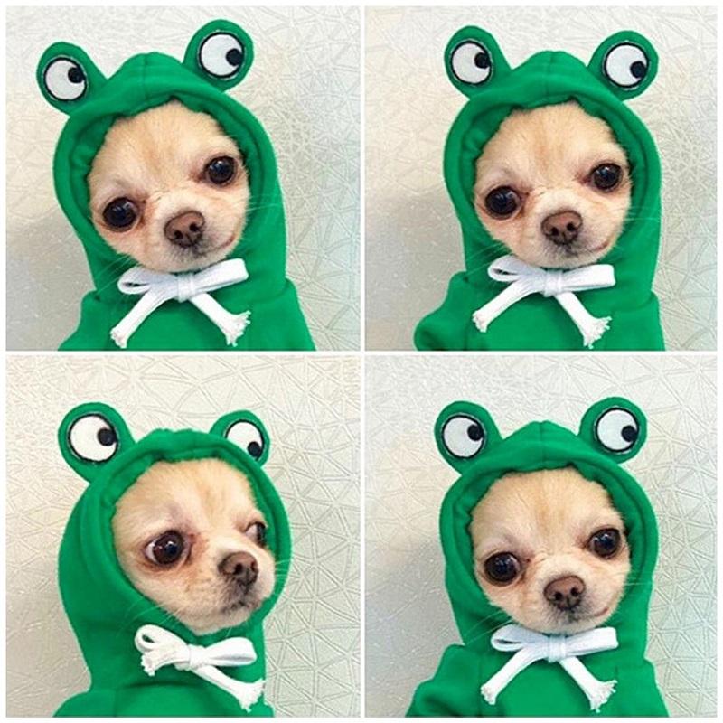 Dog's Winter Clothes Cute Fruit Dog Coat Hoodies Pet Dogs Costume Jacket Carrot Banana Fog Puppy Drawstring Hoodie Pet Warm Clothing Jumpsuit Outwear