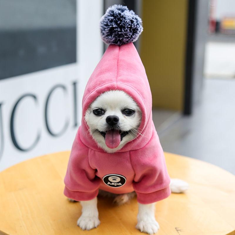 Dog's Warm Jackets Coats Hooded Winter Clothing Cat Hoodies Rompers Two-legged Clothes for Puppy Cats Soft Cotton Jumpsuits with Cap