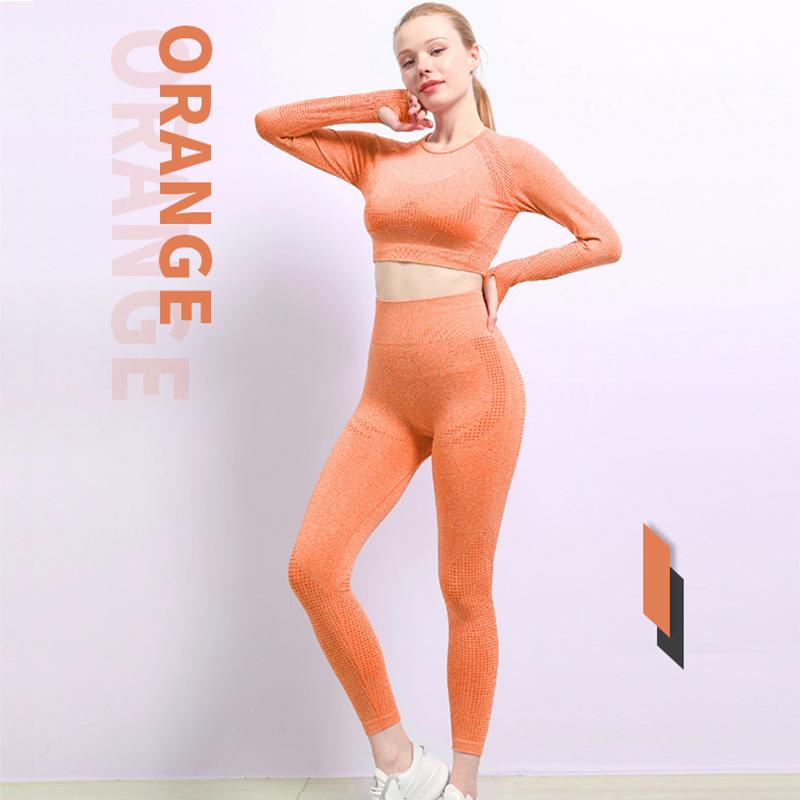 2PCS Women's Seamless Fitness Yoga Clothing Set Sports Long Sleeve Pants Set Bodybuilding Two Piece Set Tracksuit  Active Wear Athletic Clothing Sets