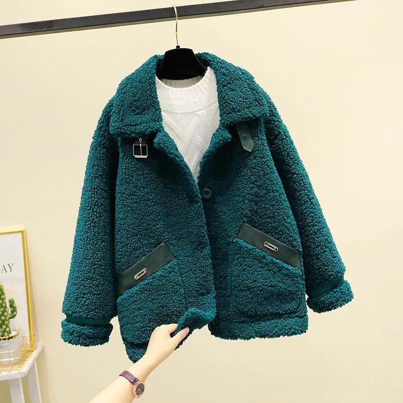 Lamb Plush Fur Coat Women's Autumn and Winter Korean Short Grained Small Coat