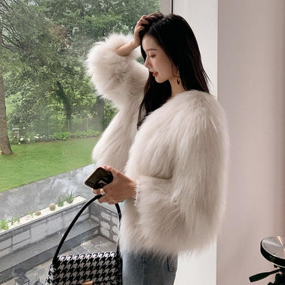 Short Female Fox Fur Coat Korean Version of Haining Mink Fleece and Fur Coat