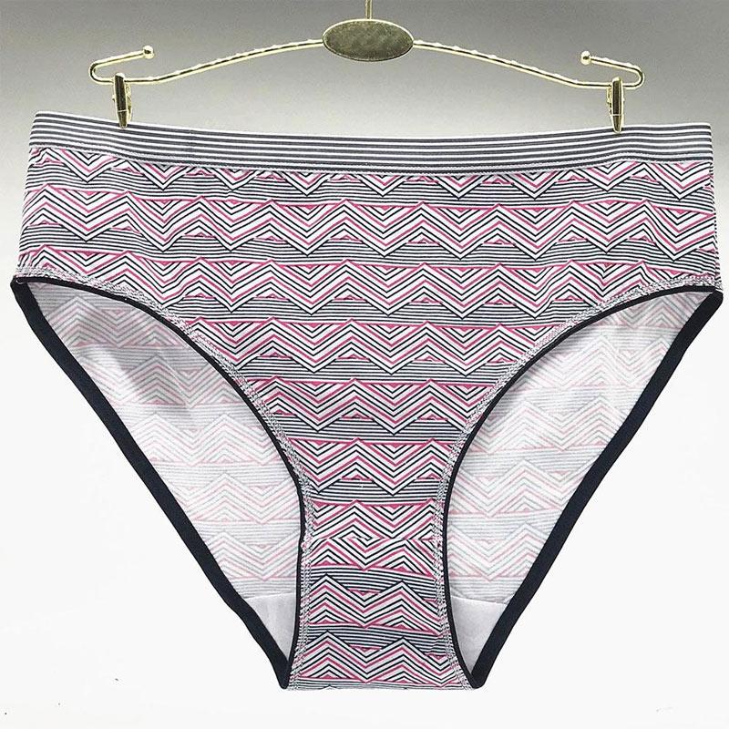 6 pcs/lot Plus Size Women Briefs Sexy Lace Panties Lady Plus Size Cotton Underwear Underpants