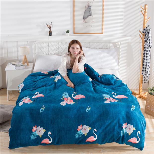 1pc Plush Thick Flannel Duvet Cover Winter Plush Coral Fluff Duvet Cover Twin Queen King Size